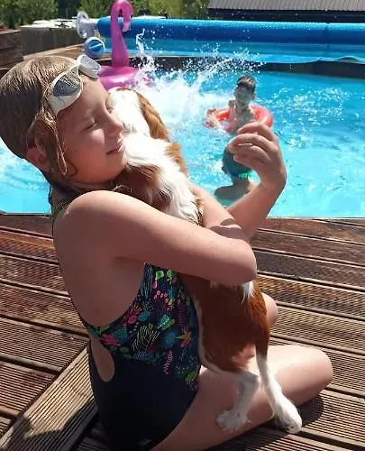 W Dolinie Dom wakacyjny *