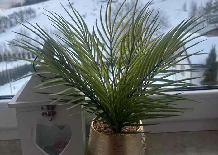 Dom wakacyjny W Dolinie Berest